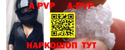 СК Владивосток