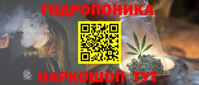 МДПВ Вязьма
